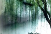 躺平是什么意思:“躺平”到底是什么意思，这样做影响了谁的利益，又是怎么火起来？