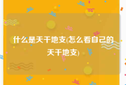 什么是天干地支(怎么看自己的天干地支)
