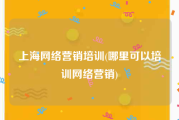 上海网络营销培训(哪里可以培训网络营销)