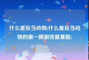 什么是反刍动物(什么是反刍动物的第一限制性氨基酸)