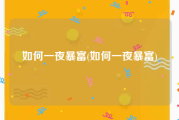 如何一夜暴富(如何一夜暴富)