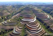 100种点心做法视频
:定西人自己做的点心是怎么做的？