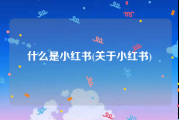 什么是小红书(关于小红书)