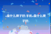 u盘什么牌子好(手机u盘什么牌子好)