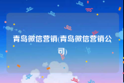 青岛微信营销(青岛微信营销公司)