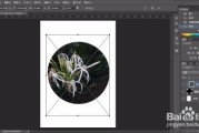 蒙版的使用方法(手机蒙版的使用方法)