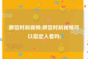 微信时刻视频(微信时刻视频可以指定人看吗)