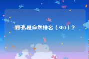 附子seo:什么是自然排名（SEO）？
