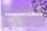 市场营销主要学什么(市场营销)