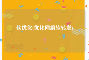 软优化(优化网络软转发)