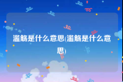 滥觞是什么意思(滥觞是什么意思)