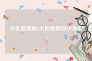 小生意创业(小创业项目小买卖)
