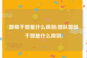部级干部是什么级别(部队部级干部是什么级别)