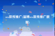 seo宣传推广(淄博seo宣传推广数据)