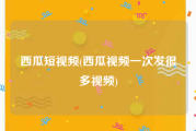 西瓜短视频(西瓜视频一次发很多视频)