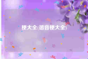 梗大全(谐音梗大全)