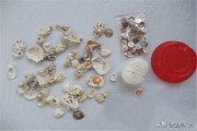 风铃的制作过程视频
:贝壳风铃的做法？
