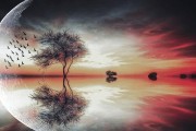 图片优化(图片优化提高像素)
