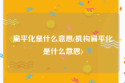 扁平化是什么意思(机构扁平化是什么意思)