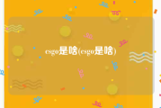 csgo是啥(csgo是啥)