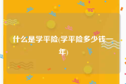 什么是学平险(学平险多少钱一年)
