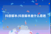 抖音脚本(抖音脚本是什么意思)