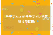 牛牛怎么玩的(牛牛怎么玩的教程视频教程)