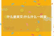 什么是爽文(什么什么一时爽)