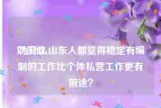 刘笑敢:为什么山东人都觉得稳定有编制的工作比个体私营工作更有前途？