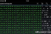 电脑上wap网:台式电脑没有连网，没有蓝牙，没有数据线，如何把手机上的文件传到电脑上？