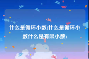 什么是循环小数(什么是循环小数什么是有限小数)