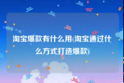 淘宝爆款有什么用(淘宝通过什么方式打造爆款)
