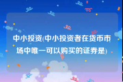 中小投资(中小投资者在货币市场中唯一可以购买的证券是)