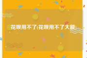 花呗用不了(花呗用不了大额)