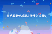 智钻是什么(智钻是什么流量)