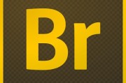 bridge软件:Br与Lr有什么区别？摄影爱好者如何选择？