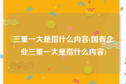 三重一大是指什么内容(国有企业三重一大是指什么内容)