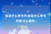 梨花什么季节开(梨花什么季节开放,什么颜色)