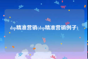 dsp精准营销(dsp精准营销例子)