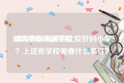 潍坊中新双语学校:潍坊市区有哪些比较好的小学？上这些学校需要什么条件？