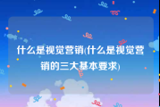 什么是视觉营销(什么是视觉营销的三大基本要求)