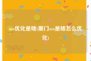 seo优化是啥(厦门seo是啥怎么优化)