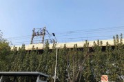 澳大利亚短视频
:大半的时间在到处跑，下个月去埃塞俄比亚、安哥拉和澳洲，边走边直播有市场不？