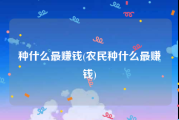 种什么最赚钱(农民种什么最赚钱)
