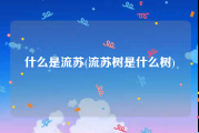 什么是流苏(流苏树是什么树)