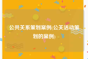 公共关系策划案例(公关活动策划的案例)