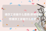 绩效工资是什么意思(教师奖励性绩效工资是什么意思)