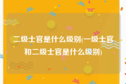 二级士官是什么级别(一级士官和二级士官是什么级别)