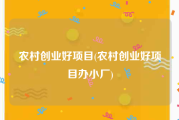 农村创业好项目(农村创业好项目办小厂)