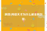 网禁(网络天才为什么被全网封禁)